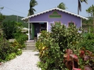 carriacou4.jpg