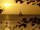 yellowsunsetsailboat.jpg